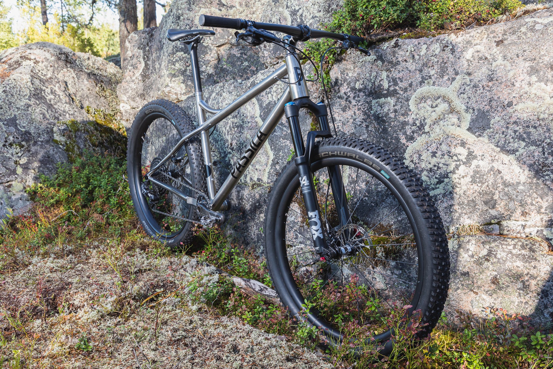 Hardtail Ribble Hi Ti Kytö Titanium Cross Country Mountain Bike
